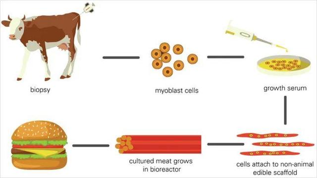 人造肉1.jpg